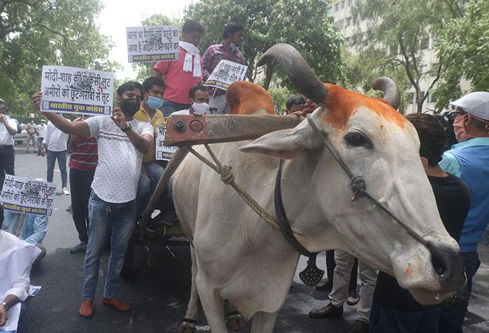 ईंधन की बढ़ती कीमतों के खिलाफ कांग्रेस का राष्ट्रव्यापी विरोध प्रदर्शन